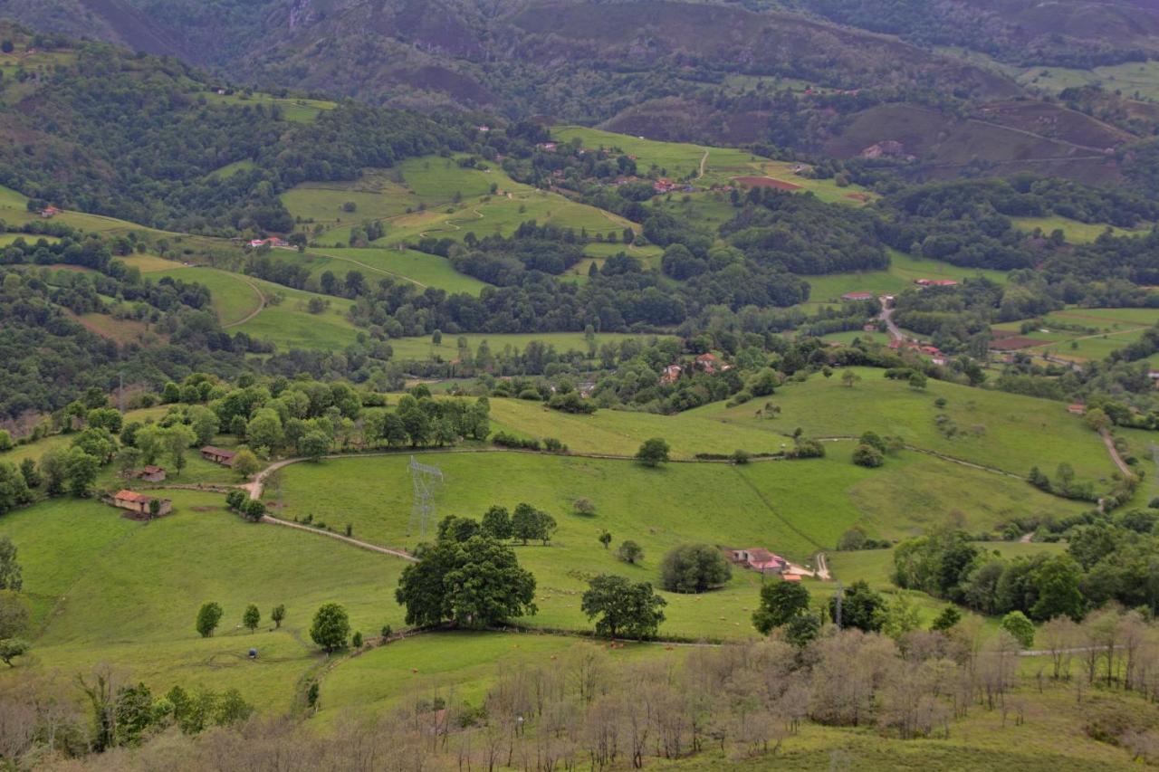 Campos