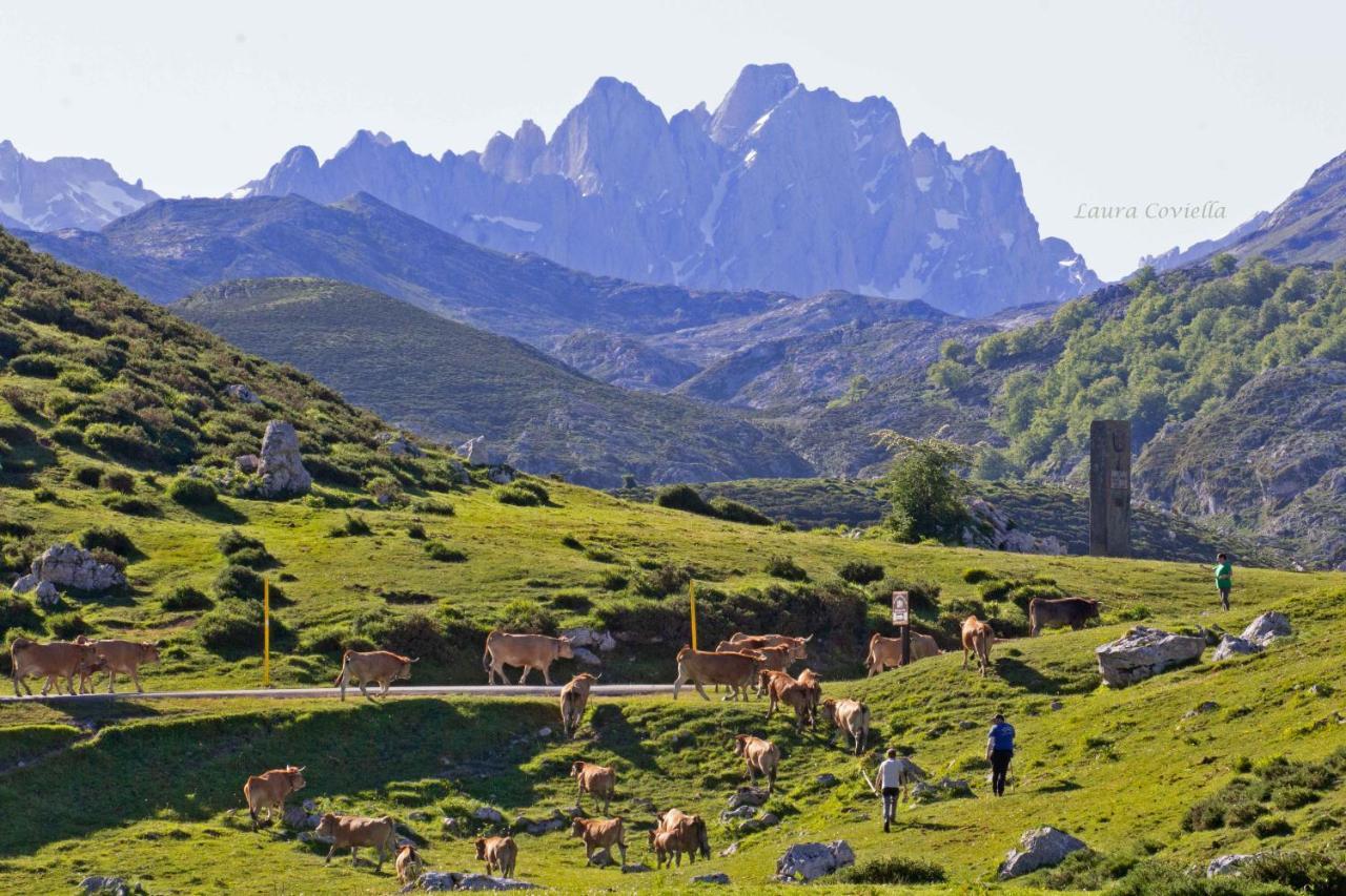 Holiday home Campos